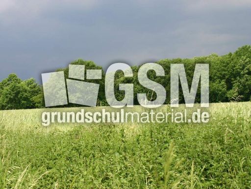 Gewitter-zieht-auf-4.jpg